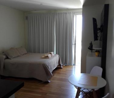La Plata Apartment | Excelente Monoambiente Monito 15