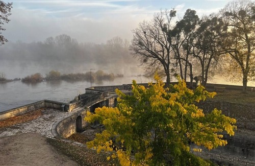 Orleans Apartment | Exceptional apartment in the heart of the Loire Valley: 1 roof-top house