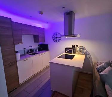 Stratford and New Town Apartment | Executive Apartment with Exclusive London Views & Free Parking