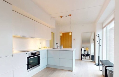 Copenhagen Apartment | Executive Harbour Penthouse