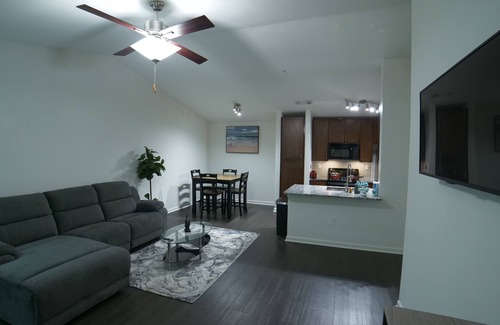 Duluth Apartment | Exotic Luxury 2bs, 2baths Contemporary Living /Duluth