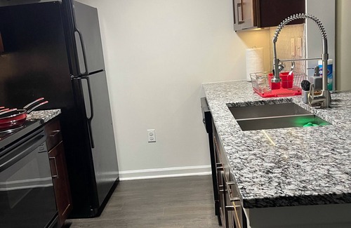 Duluth Apartment | Exotic Luxury 2bs, 2baths Contemporary Living /Duluth