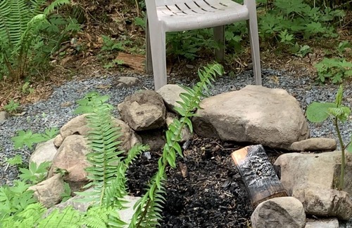 Ashford Cabin | Experience a custom built tiny home cabin near Mt Rainier National Park. It sleeps up to three! Firepit, access to shared hot tub, walking distance to Copper Creek Restaurant