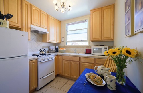 Cow Hollow Hotel | Experience a Tranquil Oasis at Marina Motel -San Francisco's Best Kept Secret!