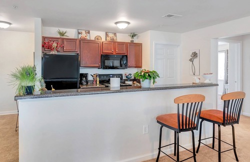 Belmont Condo | Experience CHARLOTTESVILLE with charm❣️