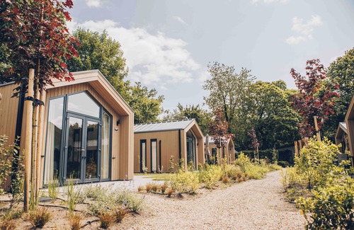 Lieren House | Experience luxury and nature in the Tiny Lodge in the Veluwe! Single-story with 2 bedrooms, a fully equipped kitchen and air conditioning