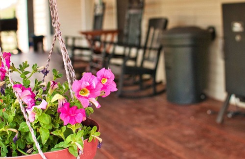 Clay Springs House | Experience The Great Outdoors in Luxury