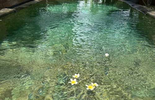 Umeanyar Villa | Experience the pure village life in the hills of North Bali
