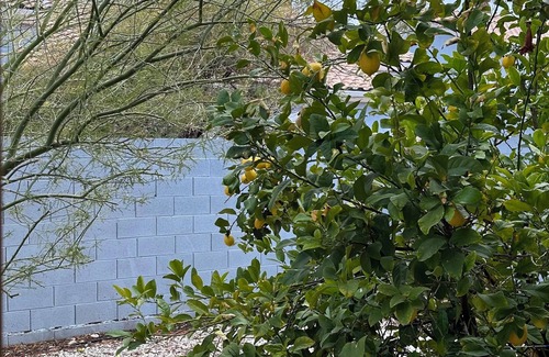Canyon Gate House | Experience Vegas like a local! Cozy 2-bedroom townhome 25 mins from LV Strip