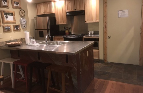 Crested Butte Condo | Exquisite Mountain View! Great Location on Free Bus Route! 5 Star Reviews!