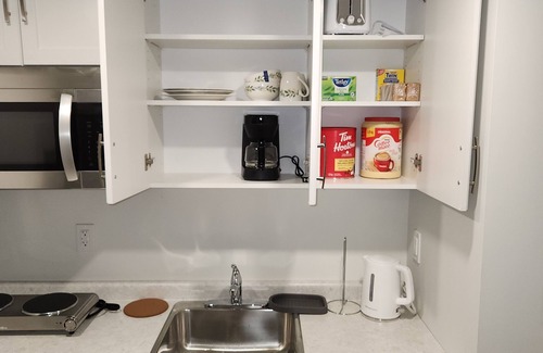 Winnipeg Apartment | Exquisitely Finished 1 Bedroom, 1 Bath Modern & Homely Suite.