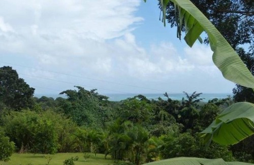 Goyave Apartment | F1 + JACUZZI Calme, Zen et Marie Galante en face