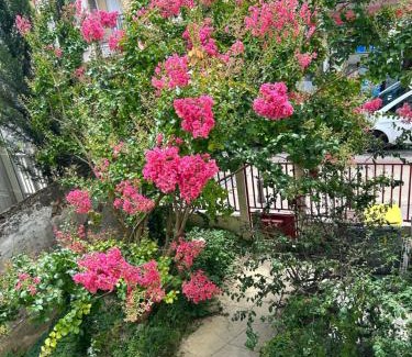 Quartier Centre Ville Apartment | F3 50m2 centre ville Massy