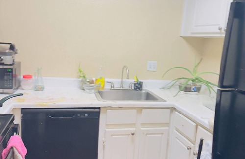 Houston Apartment | Fabulous apartment in vibrant Houston. Close to Galleria Mall.Security on site.