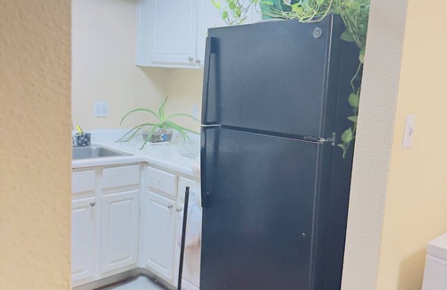 Houston Apartment | Fabulous apartment in vibrant Houston. Close to Galleria Mall.Security on site.