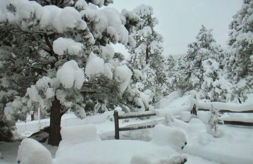 Estes Park House | Fabulous Art-Filled 'Green Conscious' Retreat - You Will Love This Place!