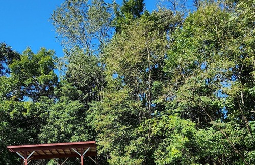 Carpenter Cabin | Fairy House - two bedroom cabin on a peaceful farm