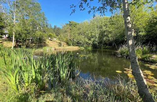 Brookings Apartment | Fairy Pond Summary: W