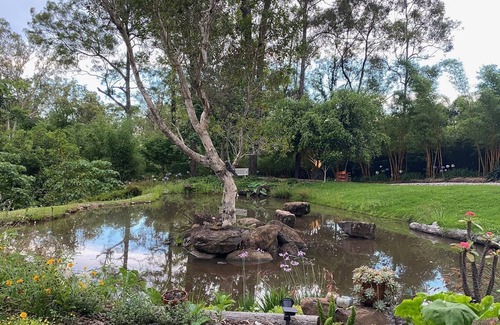 Gilston Cottage | Fairytale Cottage - 20 minutes drive to Broadbeach