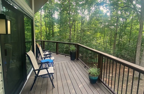 Mineral House | Fall and Winter Rentals, Lake Anna, Boat Slip, Lake Access, Small Dog Friendly