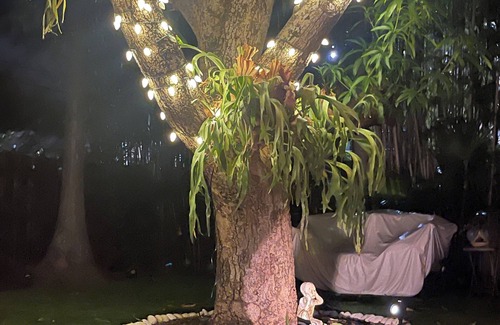 Palm Beach - West Palm Beach Cottage | FALL CELEBRATION 10% off 1 wk now-10-15
