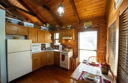 Eureka Springs Cabin | Fall Color Views + Jetted Tub for 2 + Fireplace