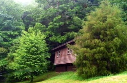 Glenville Cabin | Fall Peak Colors NOW! L.Cabin, HotTub under Cabana, Mtn View, 1 mile to Lake