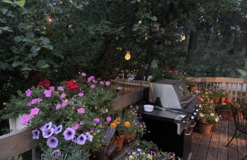 Banff House | Fall Salenluxury, in the Rockies, Private, Corporate or Family Retreat