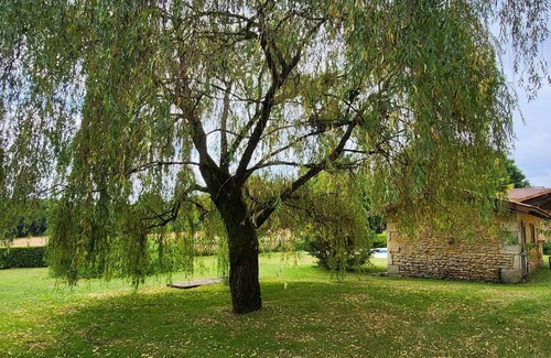 Cellefrouin House | Familie Vakantiehuis tot 12 Personen met Privézwembad