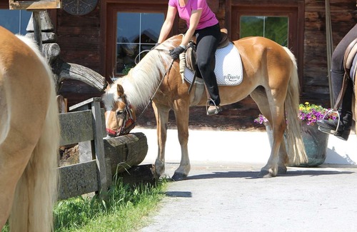 Muhlthal House | Familienkombi »abendsonne« Shortstay - Hotel Haflingerhof