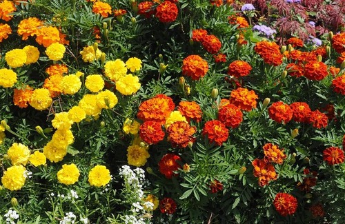 Glanegg House | Familienparadies Zeislerhof