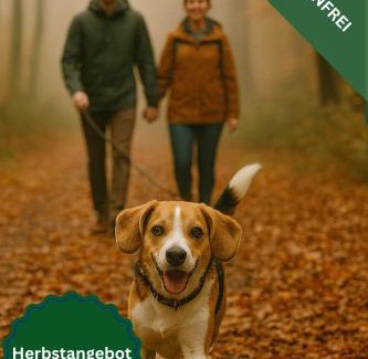 Kuestelberg Apartment | Familienurlaub pur III KINDER UND JUGENDLICHE bis 17 frei III HUND willkommen III SAUNA im Haus III Natur direkt vor der Tür III nah an Winterberg für Ski Wandern und Abenteuer