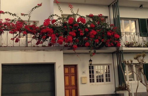 Ponta Delgada Apartment | Family and Friends - Apartament Center at Ponta Delgada