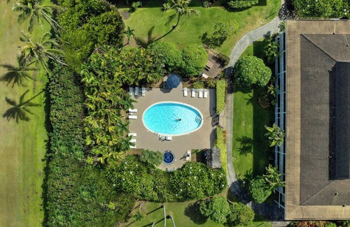 Wailua Apartment | Family and Friends Vacation! Spacious Pool View Suite + Living Area and Kitchen