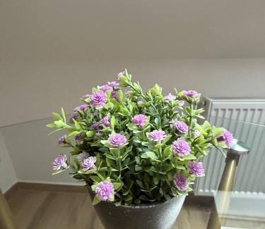Payerbach Apartment | Family Apartments Zemlinsi 2
