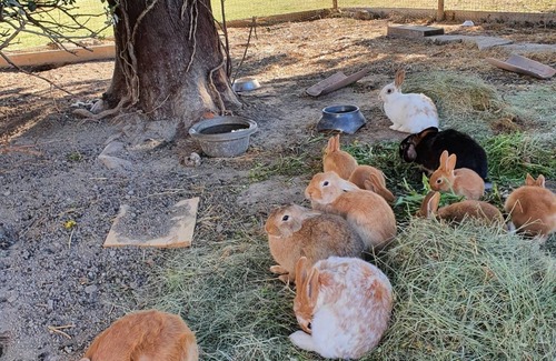Chateaurenard House | Family cocoon on the farm