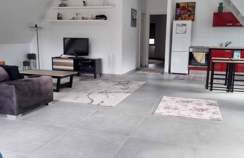 Luttenbach-pres-Munster Apartment | Family apartment