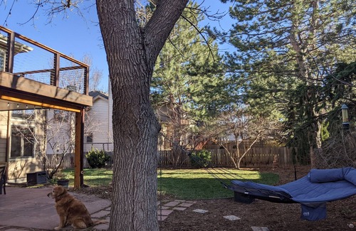 Parkside House | Family-Friendly Haven with a Beautiful Backyard and Walkable Neighborhood