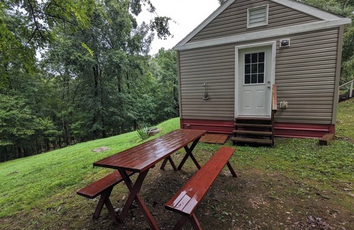 Eddyville Cabin | Family-friendly, hidden gem! Boat, Fish, Hunt, Repeat.