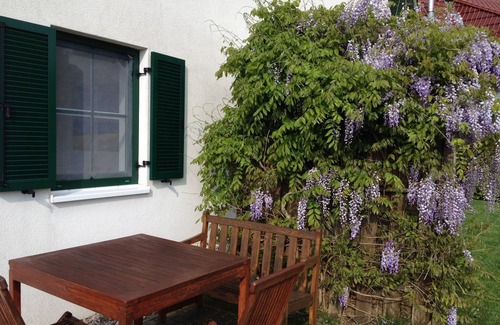 Dassow Apartment | Family-friendly holiday home with view to the Baltic Sea, by the beach