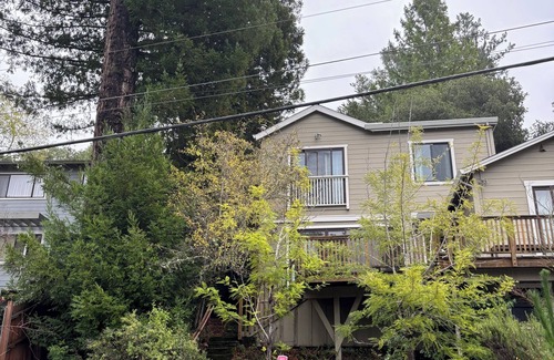 Mill Valley House | Family Friendly Home