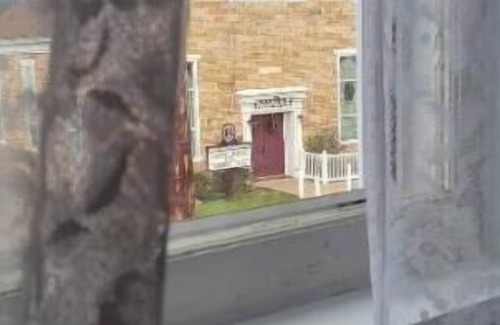 Herndon House | Family-friendly home in peaceful village setting, super clean,"The Rose Cottage"