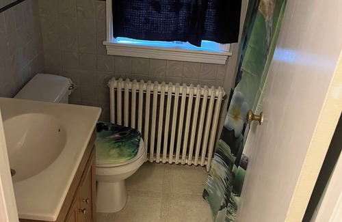 Slingerlands Ski Chalet | Family friendly home with a large yard