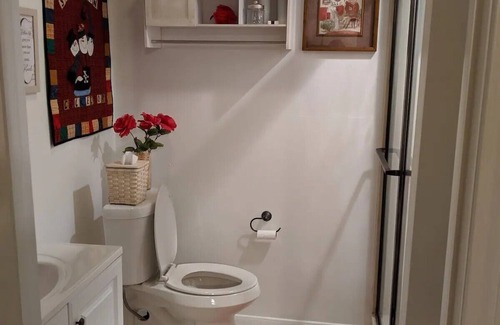 Bellville Other | Family friendly Sunnybrook Farm with very friendly farm animals