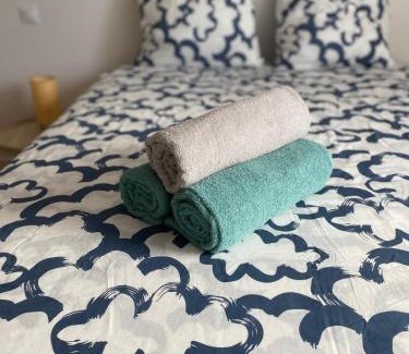 Roanne Apartment | Family House - centre gare