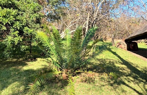 Bulawayo Apartment | Family Lodge in Natural African Bush - 2115