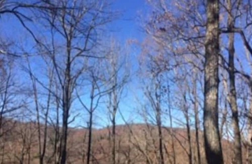 Gerton Cabin | Family Mountain Retreat 13 miles from Asheville (Holly Cottage)