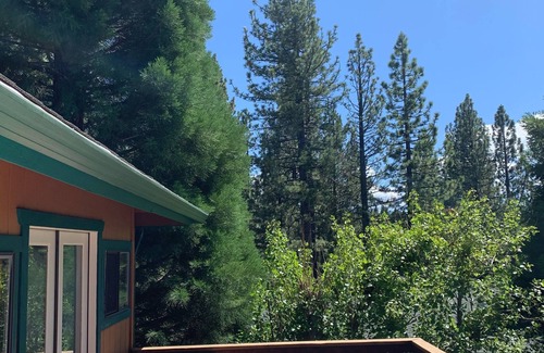 Pioneer Trail Cabin | Family & Pet Friendly, Enjoy a Relaxing Vacation in Tahoe