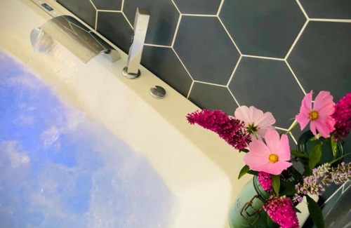 Montaigu-le-Blin Cottage | Family pop'art house, unique decor near Vichy