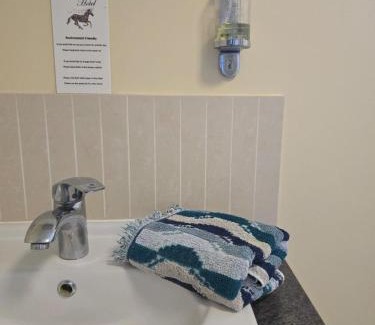 Llanidloes Hotel | Family Room